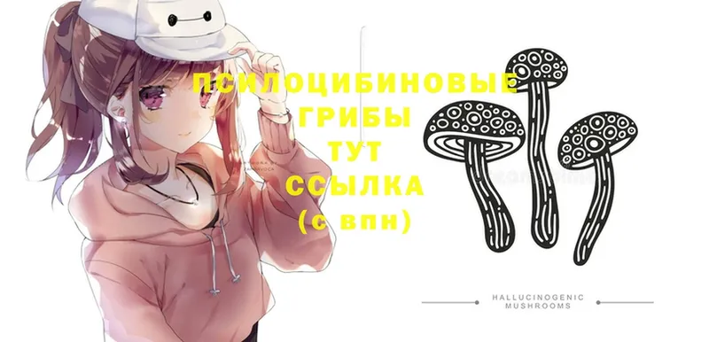 Псилоцибиновые грибы Magic Shrooms Бирюсинск